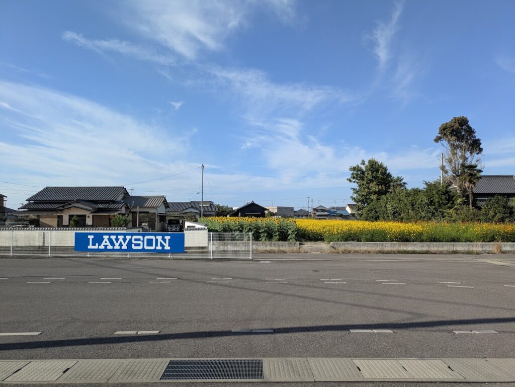 まんのう町 ひまわり コスモス