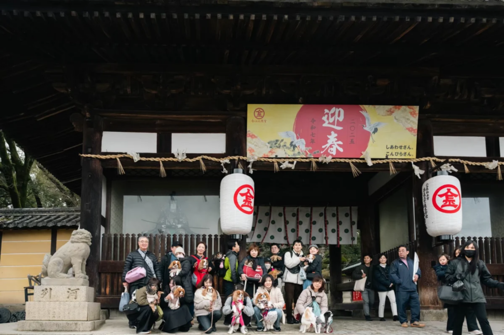 金刀比羅宮 わん参拝