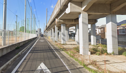 丸亀市でイノシシ出没!?朝の通勤時間に起こった捕獲劇！