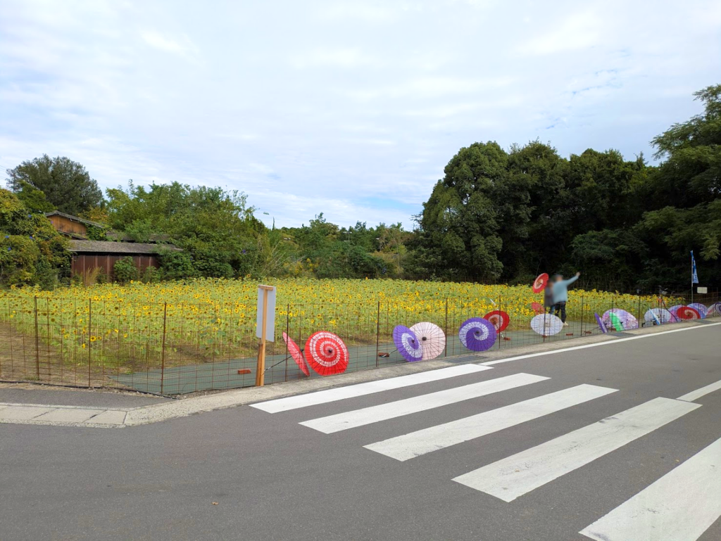 丸亀市本島 ひまわり