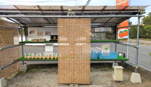 青いのに甘い!? 千疋の青い“太秋柿”が並ぶ無人販売所で綾川町の秋の味覚を堪能♪