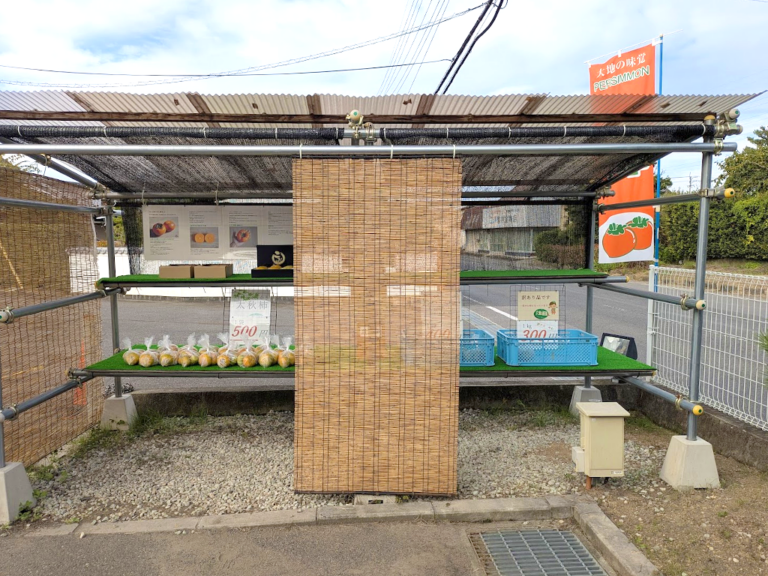 青いのに甘い!? 千疋の青い“太秋柿”が並ぶ無人販売所で綾川町の秋の味覚を堪能♪