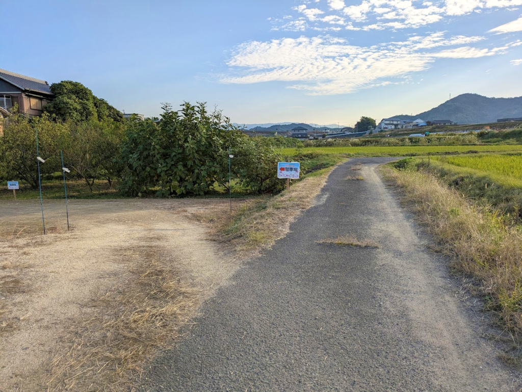 丸亀市綾歌町 みんなのコスモスひろば