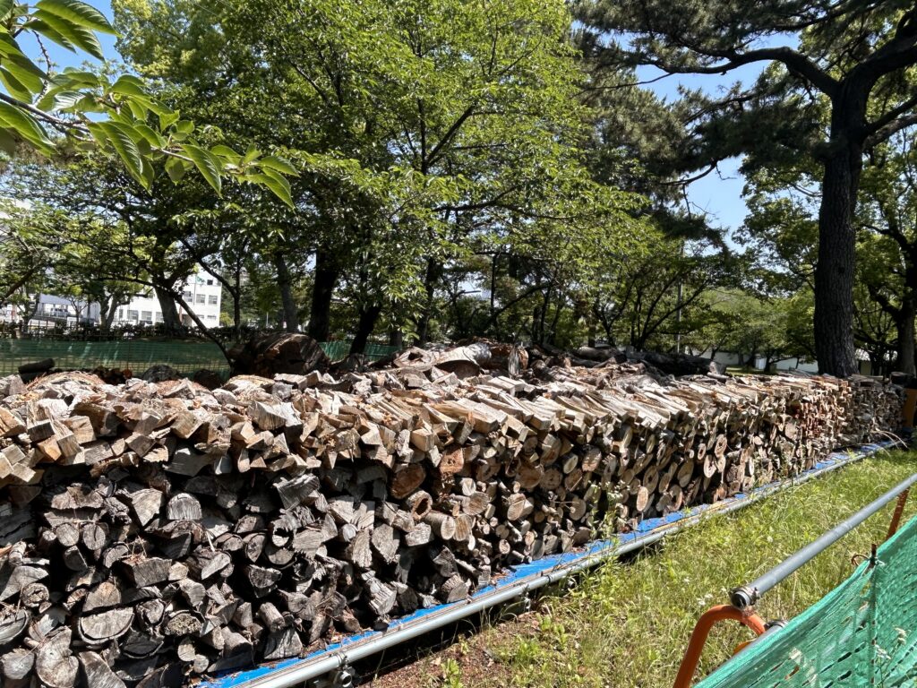 丸亀市 丸亀城 伐採木の薪 無料配布