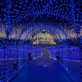 JR坂出駅北口周辺 さかいで光輝里フェスティバル