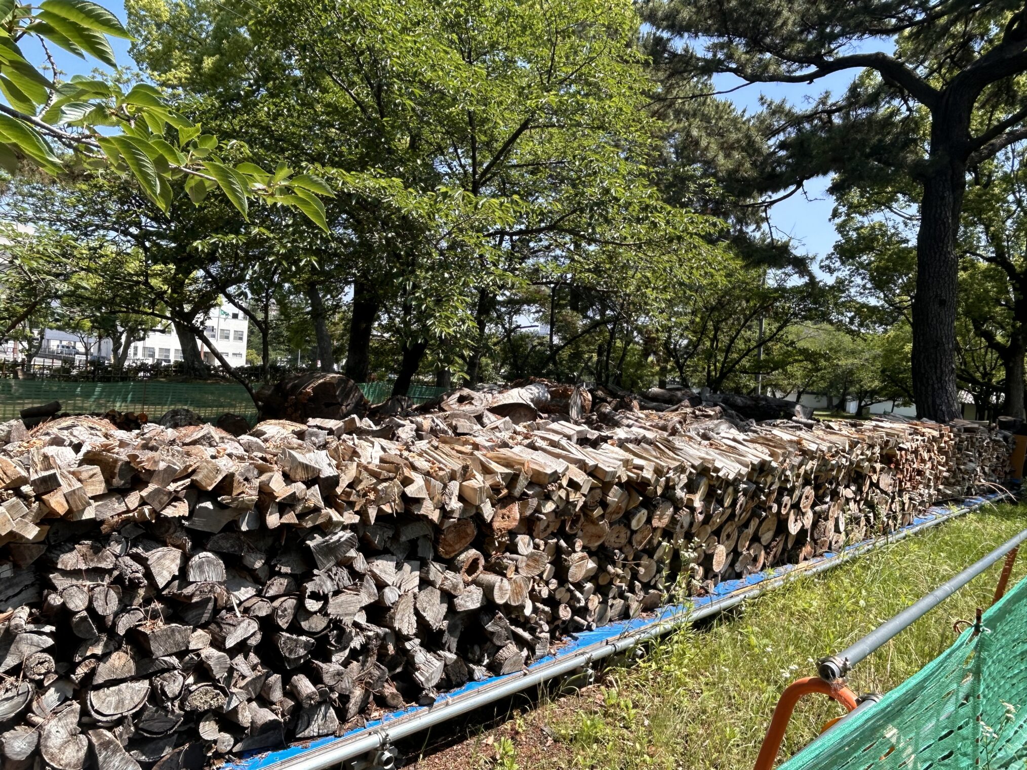 丸亀市 丸亀城 伐採木の薪 無料配布