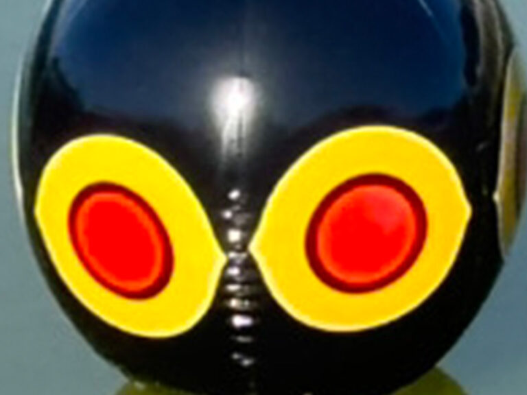 宇多津町を通る県道33号線沿いの池に浮かぶ謎の目玉とは?