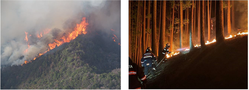 林野火災警報・注意報