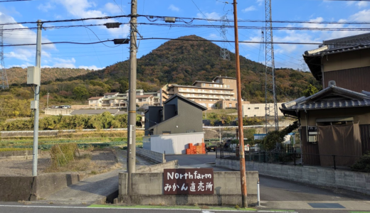 坂出市川津町の「northfarm きたさんちのみかん」で初の直売所が2025年12月6日(土)より期間限定でオープン！五色台のふもとで育つ小原紅早生みかん
