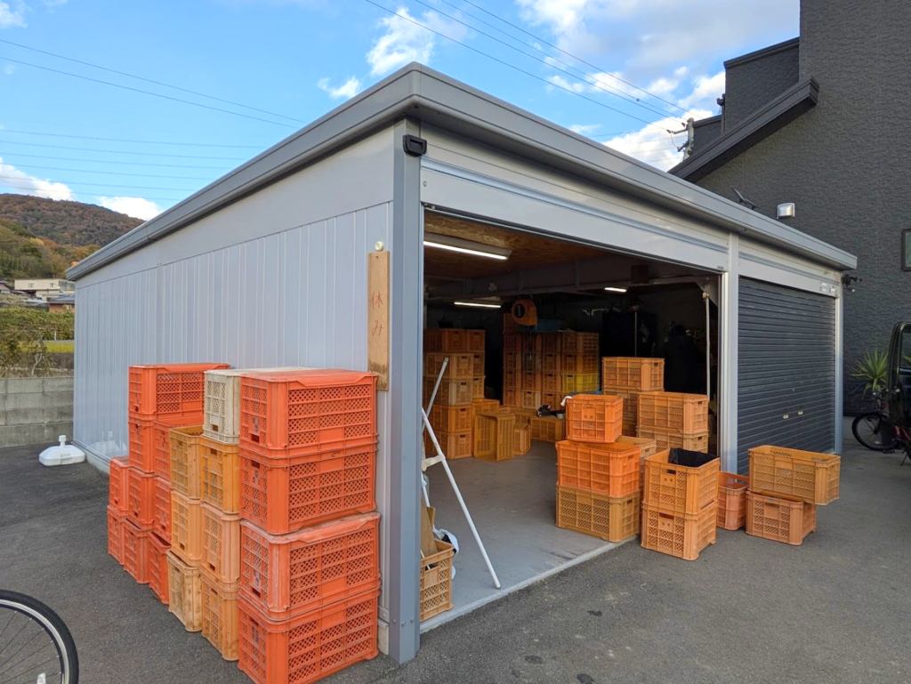 坂出市川津町 northfarm きたさんちのみかん