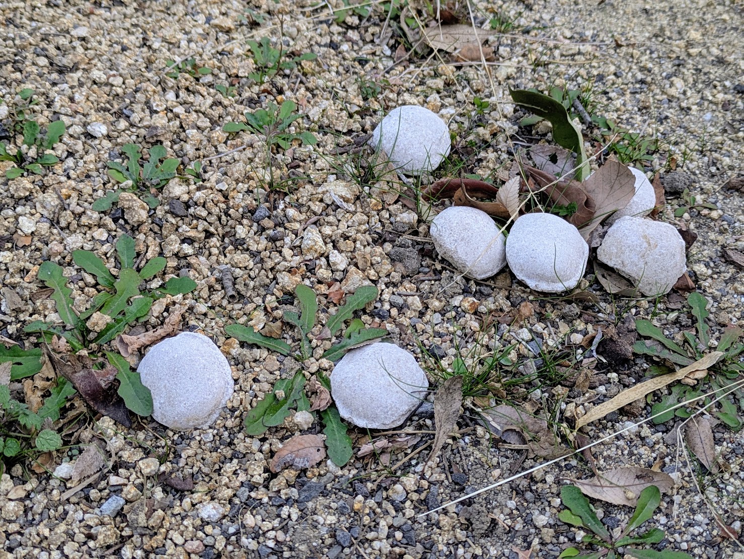 丸亀市青ノ山墓地公園