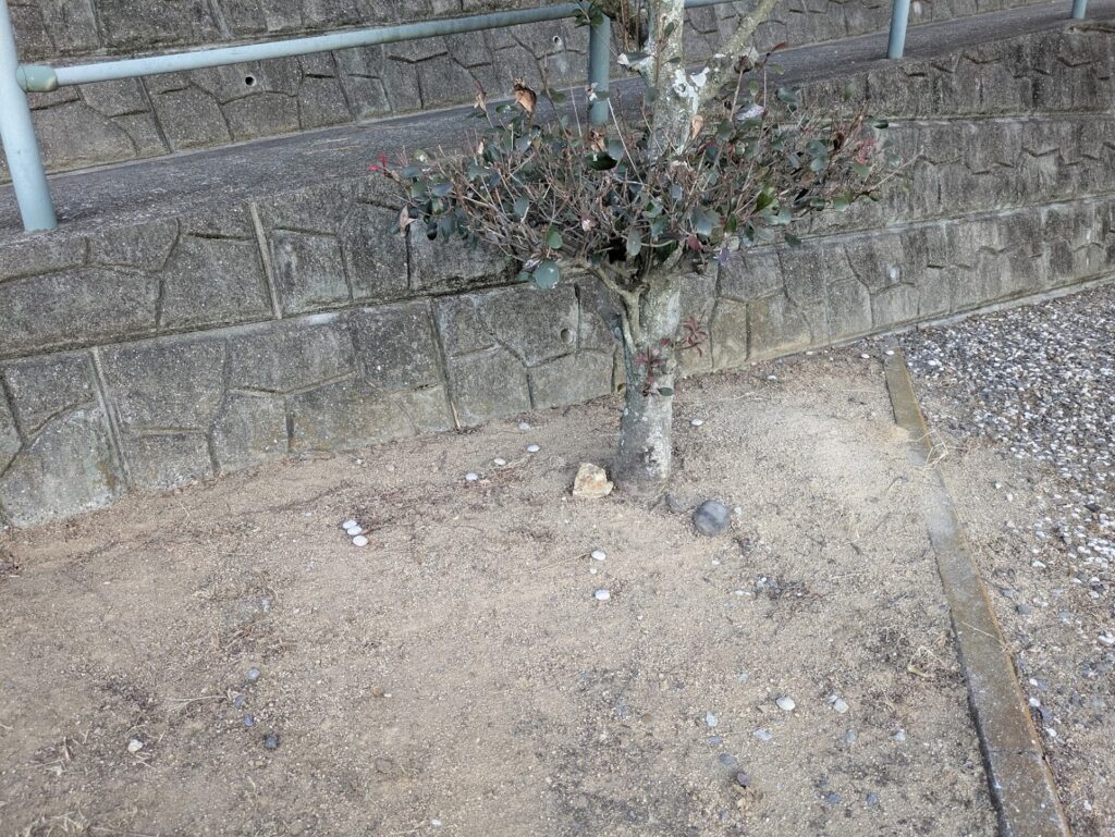 丸亀市青ノ山墓地公園