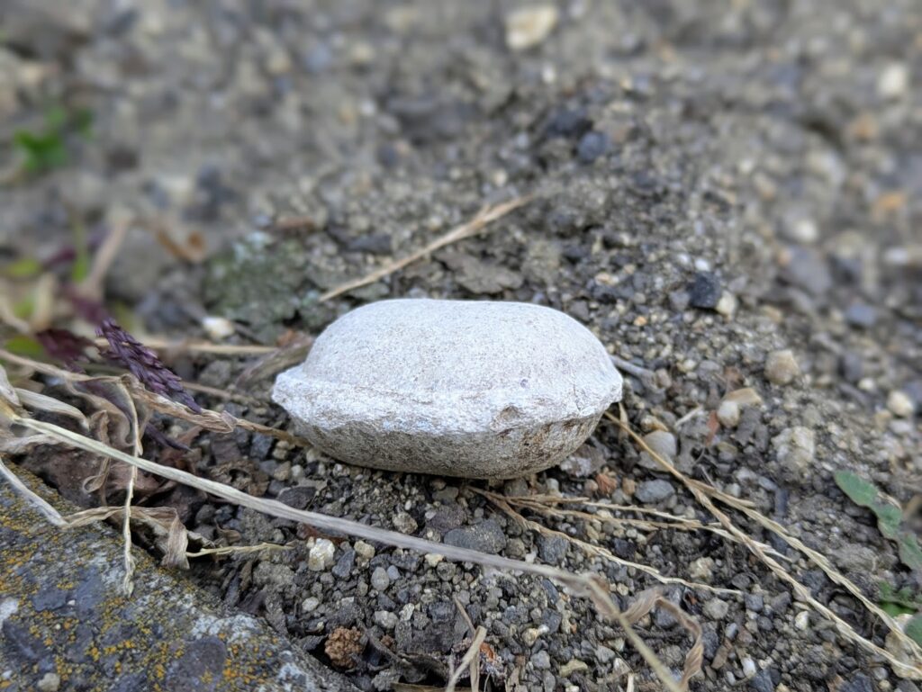 丸亀市青ノ山墓地公園