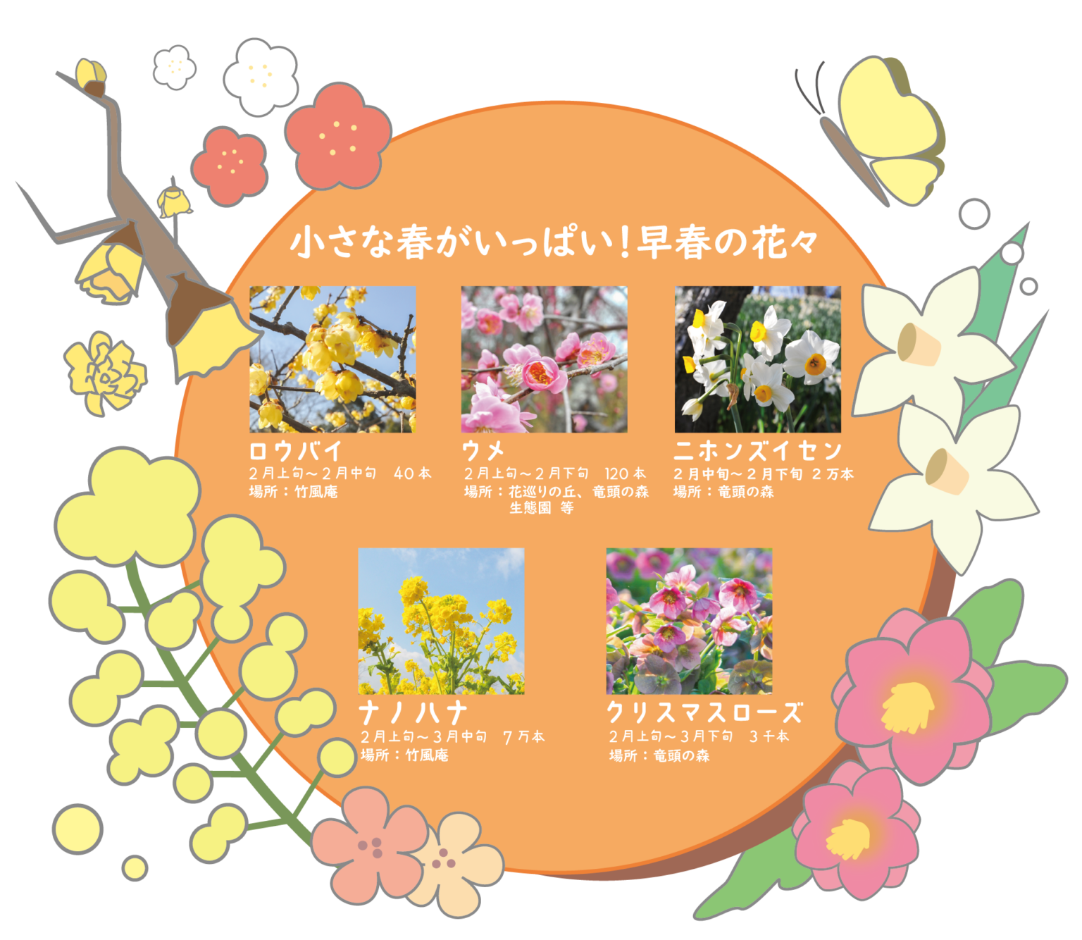 国営讃岐まんのう公園 早春の花