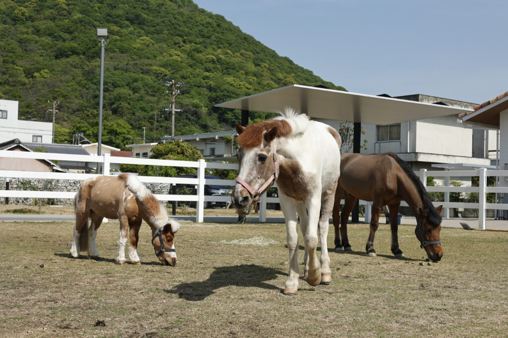 坂出市加茂町 J'sセラピーガーデンⅡ