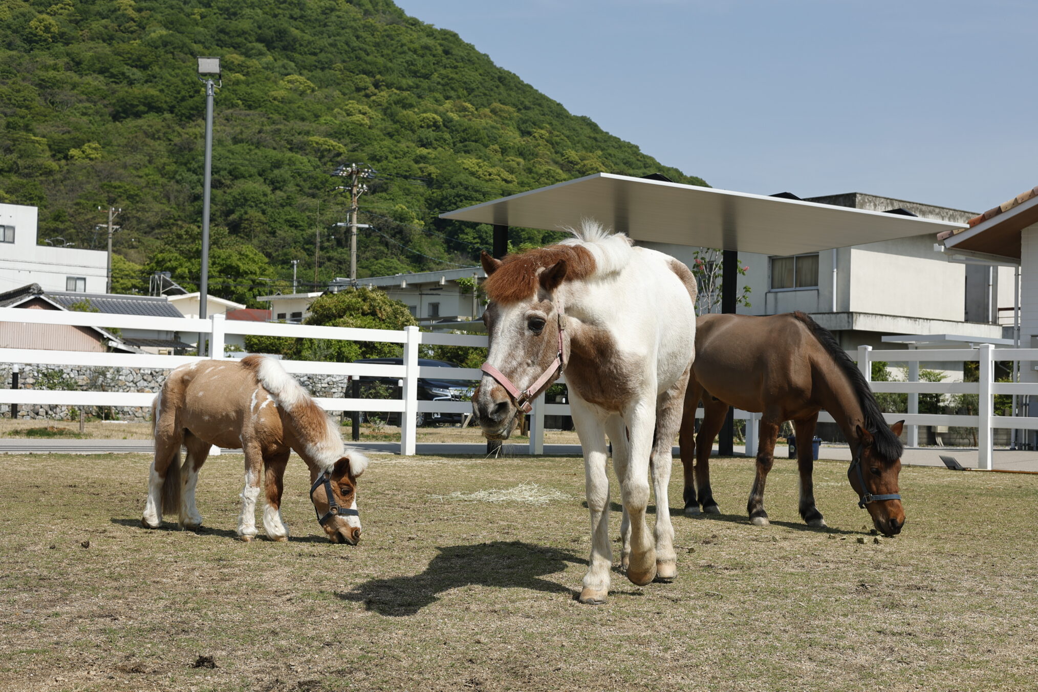 坂出市加茂町 J'sセラピーガーデンⅡ