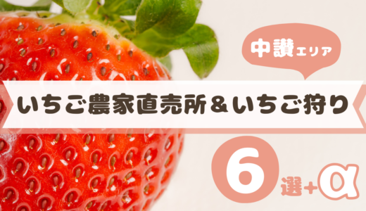 【2026年版】丸亀・綾川・まんのう周辺の「いちご農家直売所＆いちご狩り」おすすめ6選＋α！