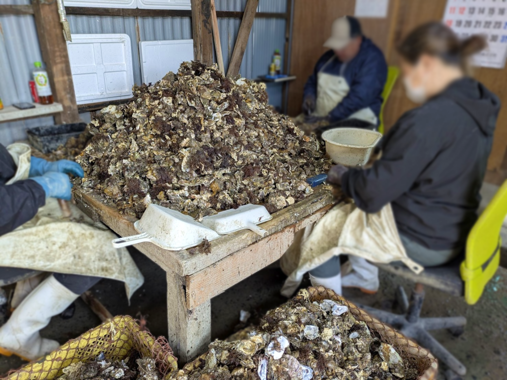 多度津町 牡蠣小屋 幸栄丸
