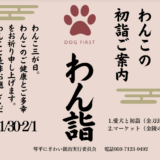 琴平町 金刀比羅宮周辺 わん詣