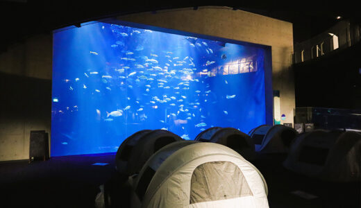 2月頭に即完売!?宇多津町の四国水族館で開催される「夜のキャンプ」が幻想的すぎて話題【Nightscape Camp 2026春】