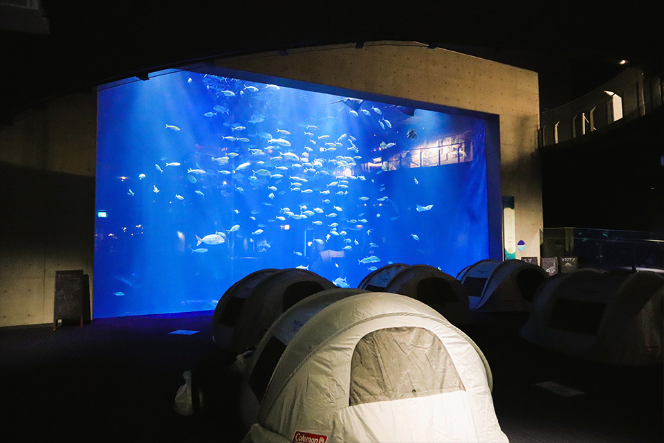 宇多津町 四国水族館 Nightscape Camp 2026春