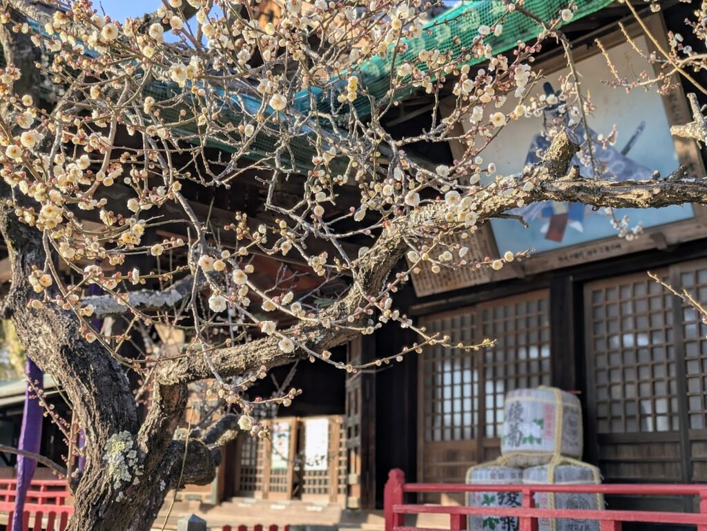 綾川町 滝宮天満宮