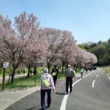 国営讃岐まんのう公園 ツーデーウォーク