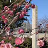 坂出市西庄町 白峰宮