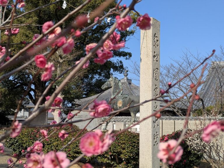崇徳上皇ゆかりの「白峰宮」へ。境内に佇む立派な「馬の像」と咲き始めの梅がベストマッチ！