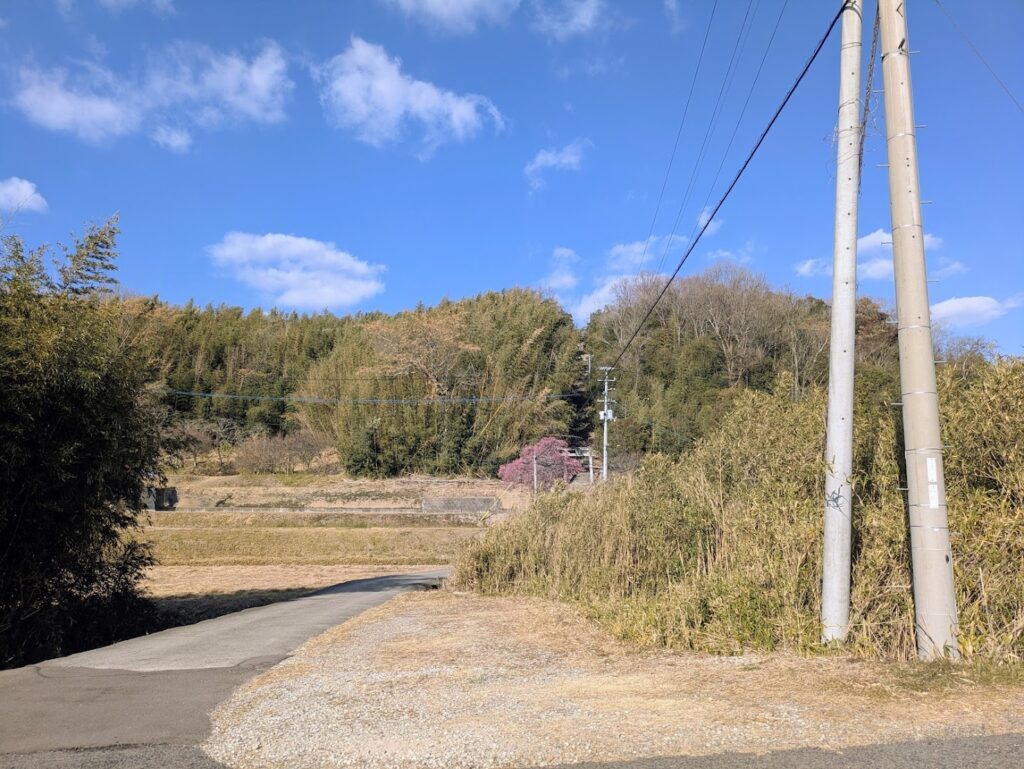 綾川町 御山八幡神社