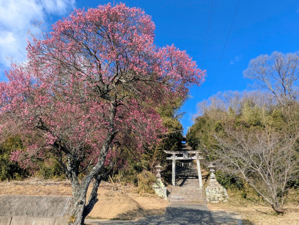 綾川町 御山八幡神社