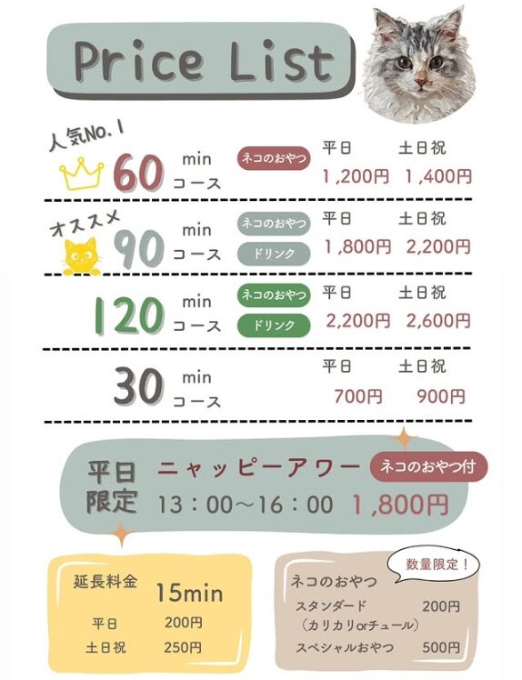 宇多津町 猫カフェ 讃岐neko