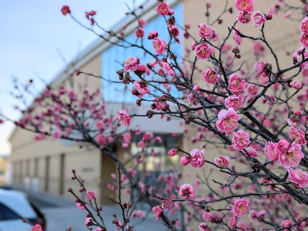 綾川町 綾川町立図書館