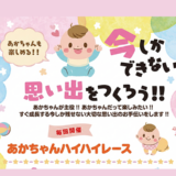 あかちゃんハイハイレース