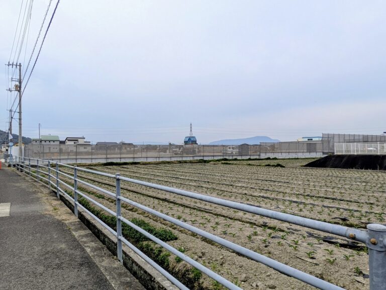 【続報】丸亀市飯野町の国道11号線沿いにあるローソンの奥、あの「正体不明だった場所」がついに動き出した！