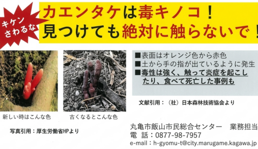【注意】丸亀市飯山町内で猛毒キノコ「カエンタケ」が発見されたみたい。触るだけでアウト!?見つけても絶対スルーして！
