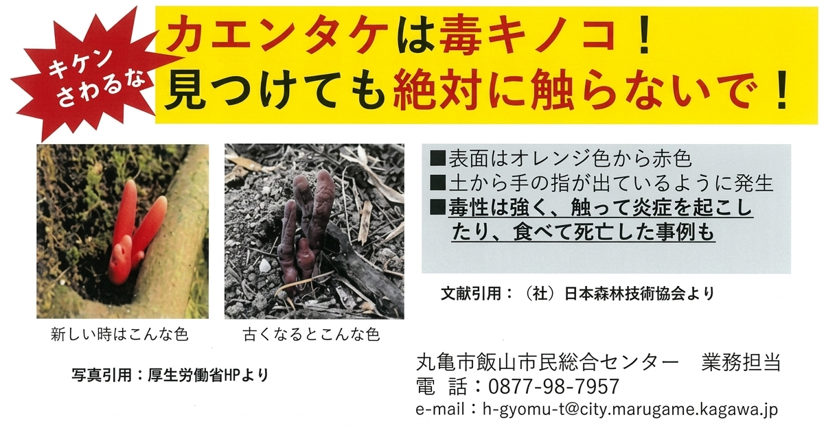 丸亀市 カエンタケ