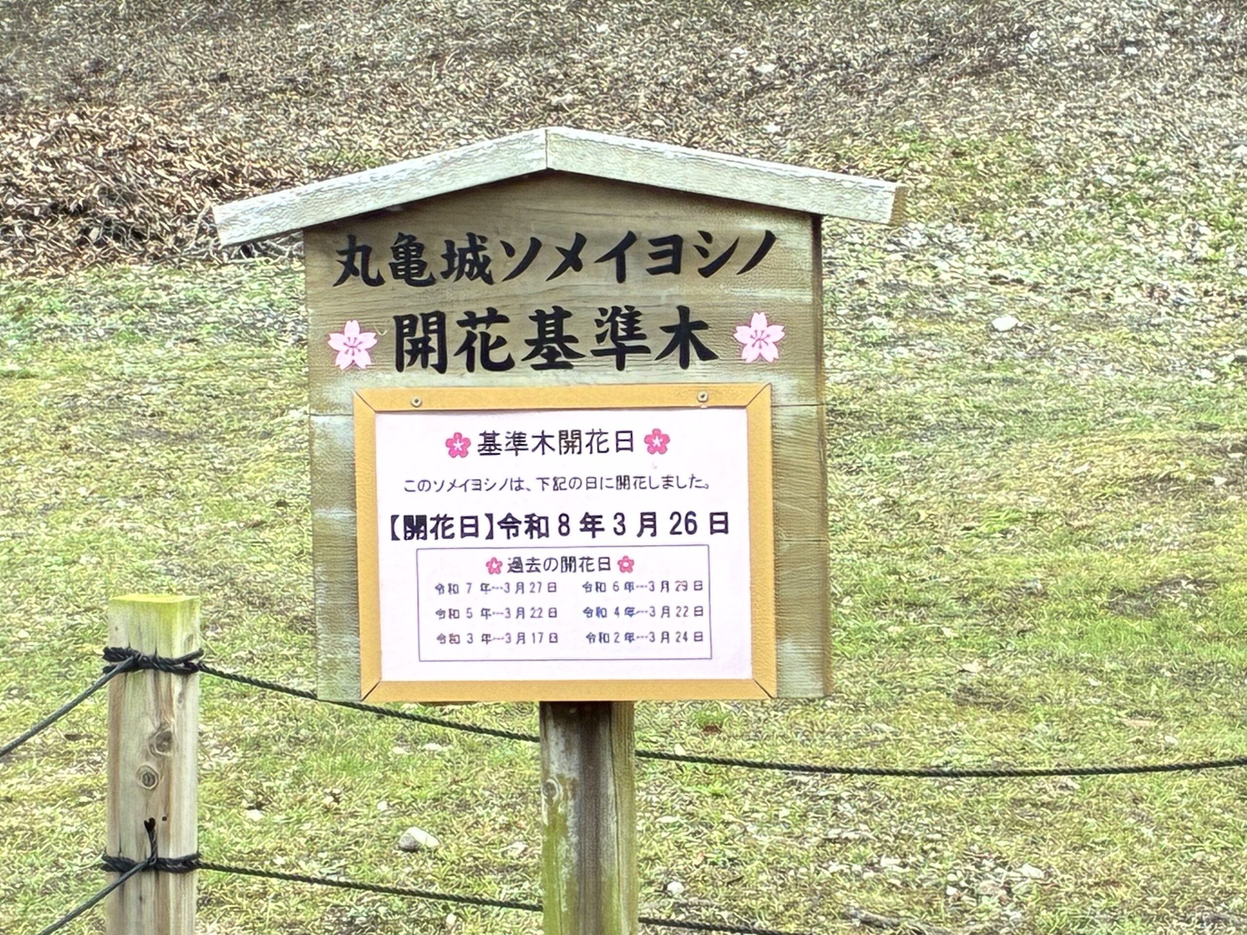 丸亀城 令和8年丸亀城桜まつり