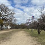 丸亀城 令和8年丸亀城桜まつり