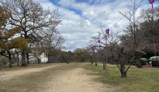 丸亀城で「令和8年丸亀城桜まつり」が2026年3月27日(金)～4月12日(日)まで開催！夜は桜並木や石垣のライトアップも！