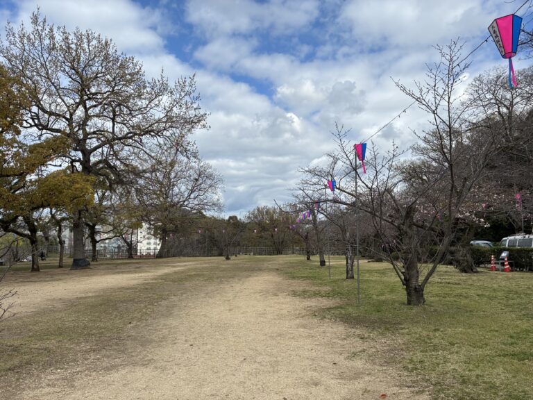 丸亀城で「令和8年丸亀城桜まつり」が2026年3月27日(金)～4月12日(日)まで開催！夜は桜並木や石垣のライトアップも！