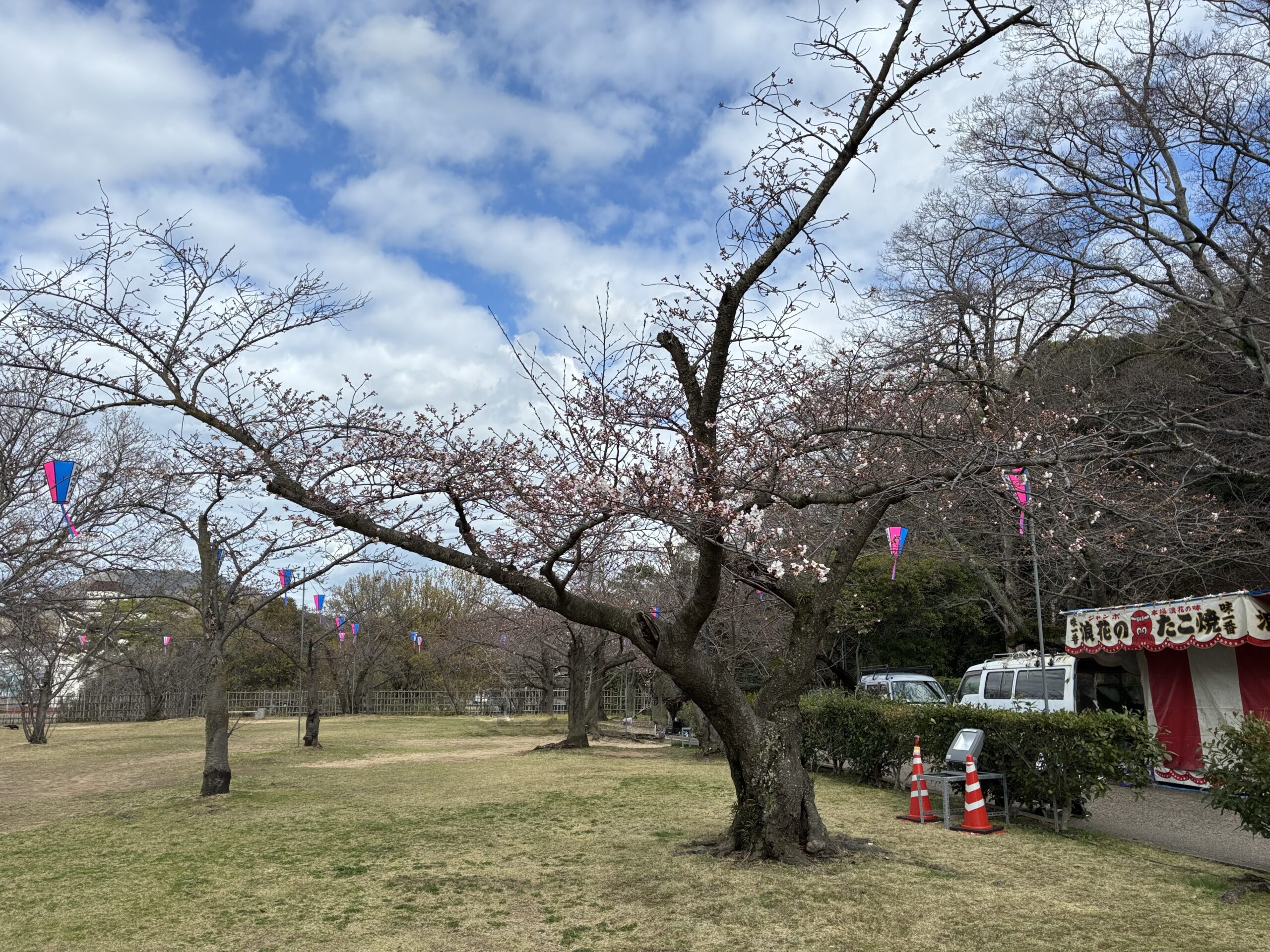 丸亀城 令和8年丸亀城桜まつり