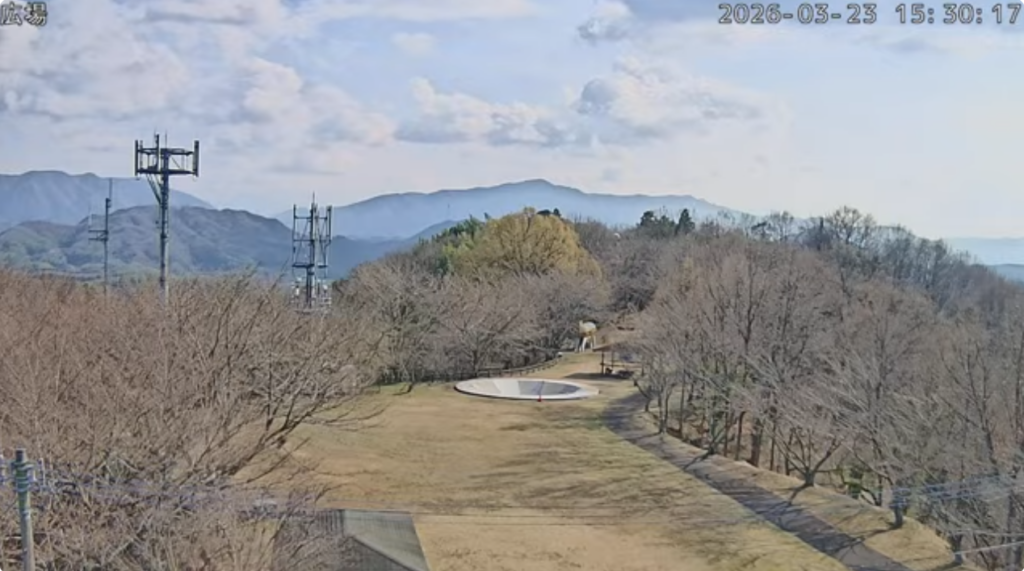 綾川町 高山航空公園 さくらまつり