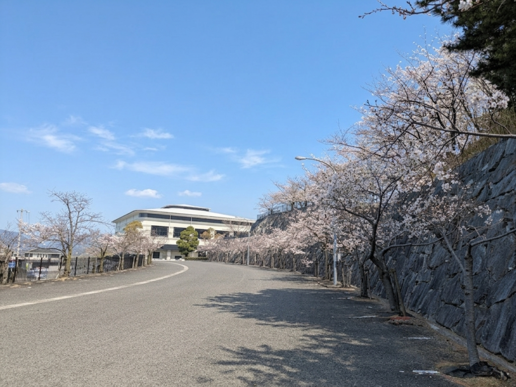丸亀市飯山町 丸亀市飯山総合運動公園