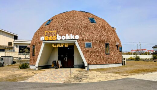 多度津町の「necobokko CAFE(ねこぼっこカフェ)」が2026年3月31日(火)に閉店。4月以降も里親探しは継続されるみたい