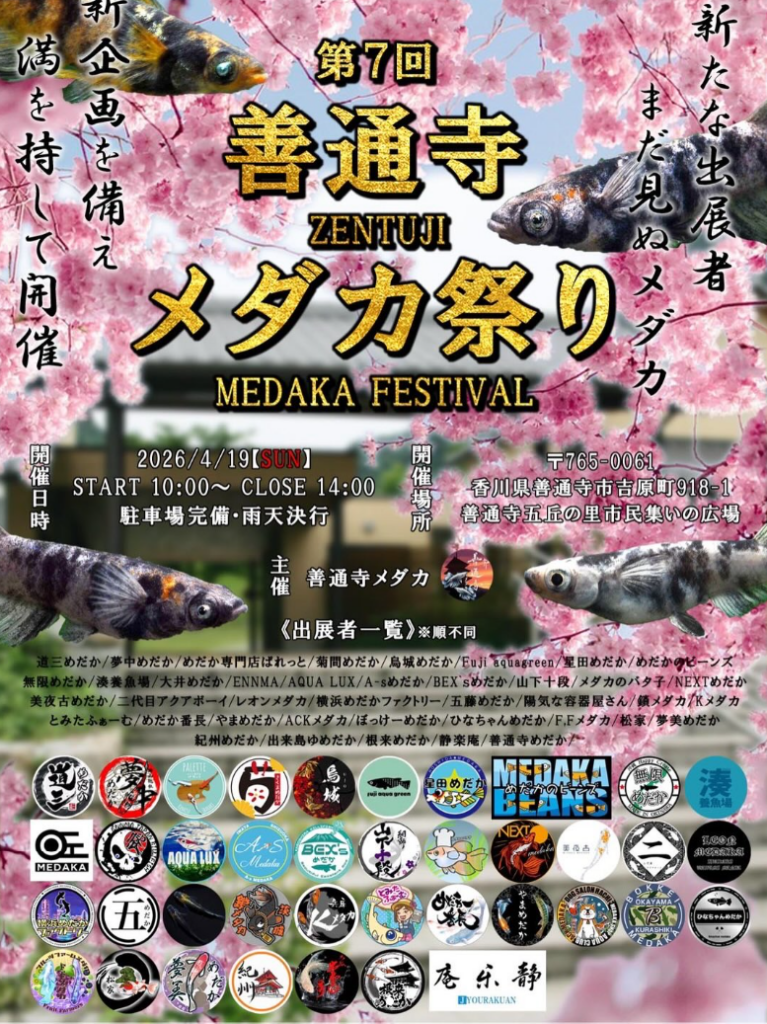 丸亀市 善通寺市 めだか祭り