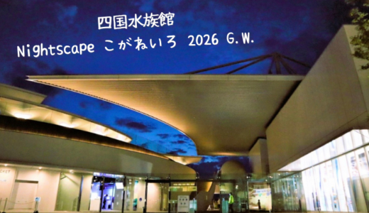 四国水族館で夜間営業「Nightscape こがねいろ 2026 G.W.」が2026年5月2日(土)〜5日(火)まで開催される。この期間限定の「瀬戸内海の夕日」×「イルカ」の共演がエモすぎる！