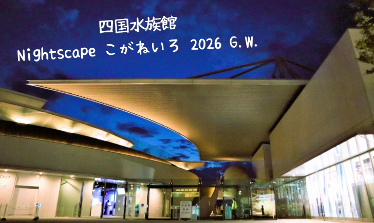 四国水族館 Nightscape こがねいろ 2026 G.W.