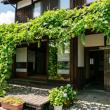 善通寺市 ゴーヤの種