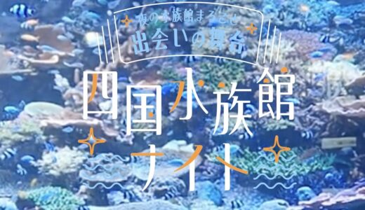 四国水族館で大規模恋活イベント「夜の水族館まるごと出会いの舞台 ～四国水族館ナイト～」が2026年5月23日(土)に開催されるみたい！完全貸切で激レアな夜のイルカショーや限定グルメ、飲み放題も♪